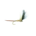 Baz´s Mayfly