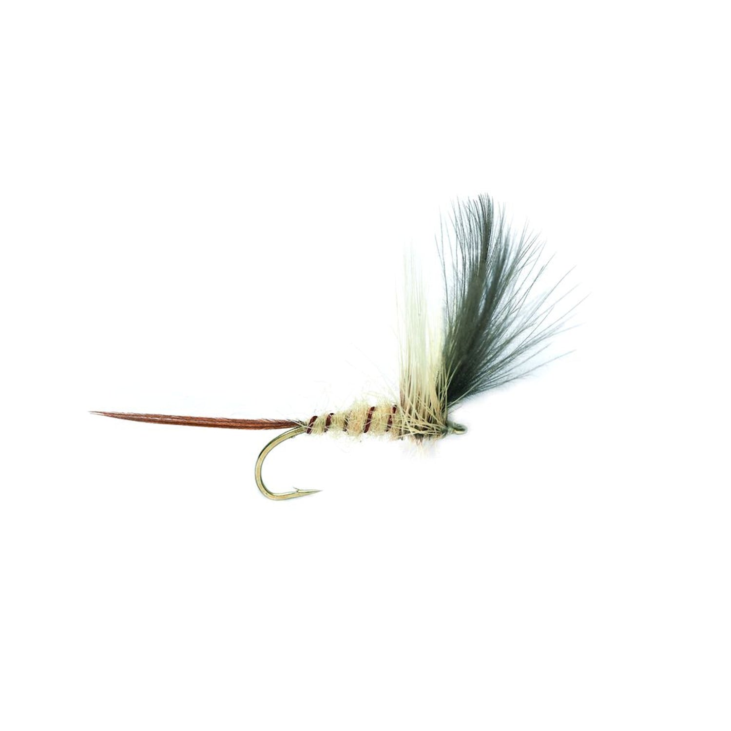 Baz´s Mayfly