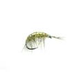 Freshwater Shrimp